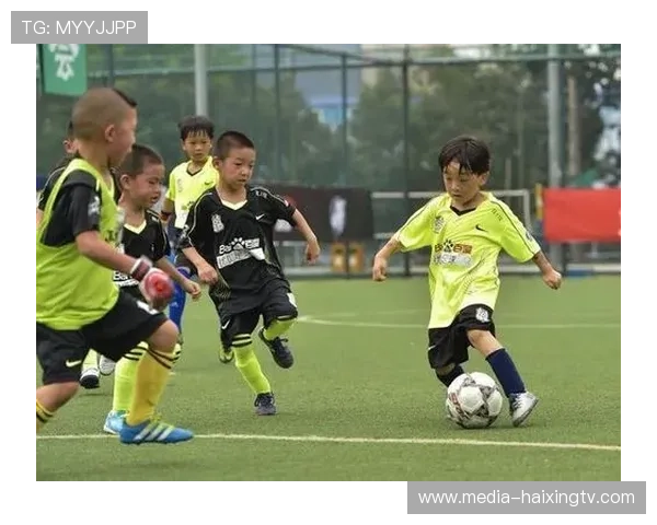 球星模板足球玩法解析与策略指导助你打造梦幻球队